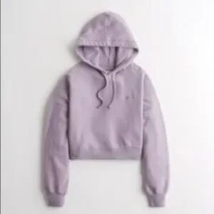 Hollister Women's Light Purple Hoodie